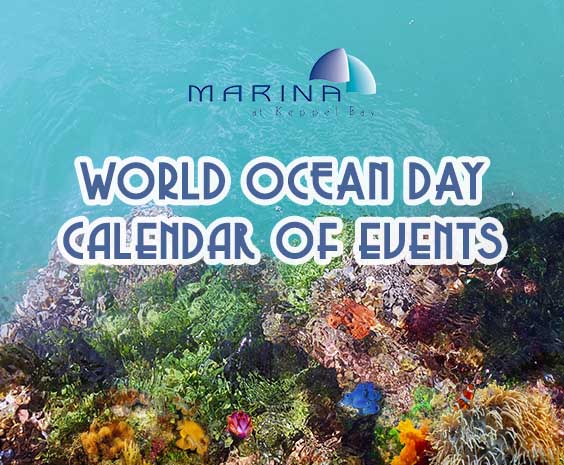(ENDED) World Ocean Day – Calendar of Events